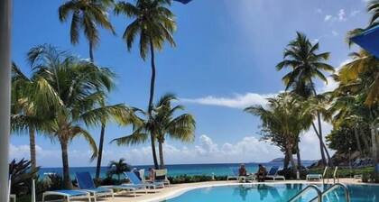 Villa Breizh- Spacious 3 Bedroom