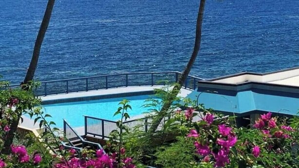 A pool with a view of the ocean, surrounded by palm trees and pink flowers. - Marie's Oceanfront Condo-1bdrm-3 Pools

 (St. Thomas)
