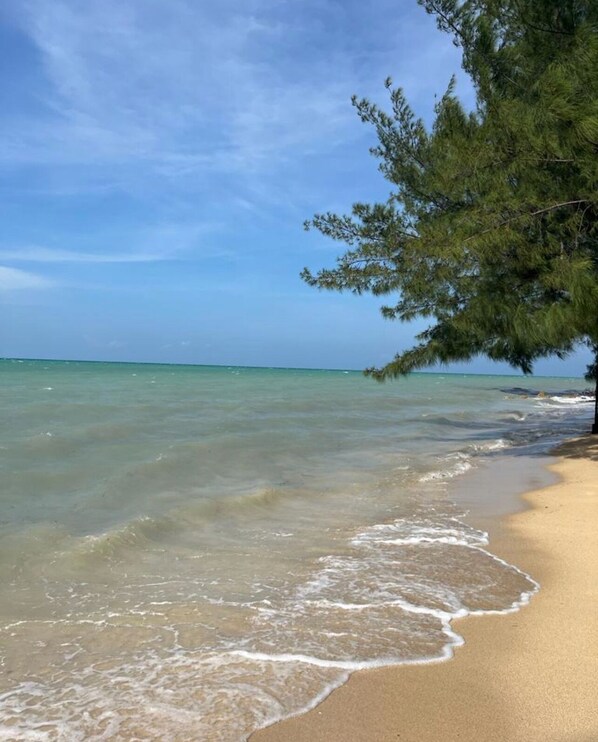 Playa