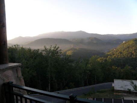 Thanksgiving in Gatlinburg - Image 8