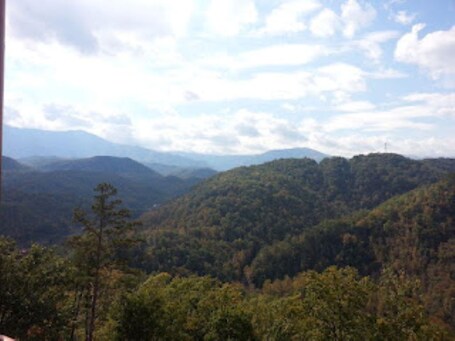Thanksgiving in Gatlinburg - Image 7
