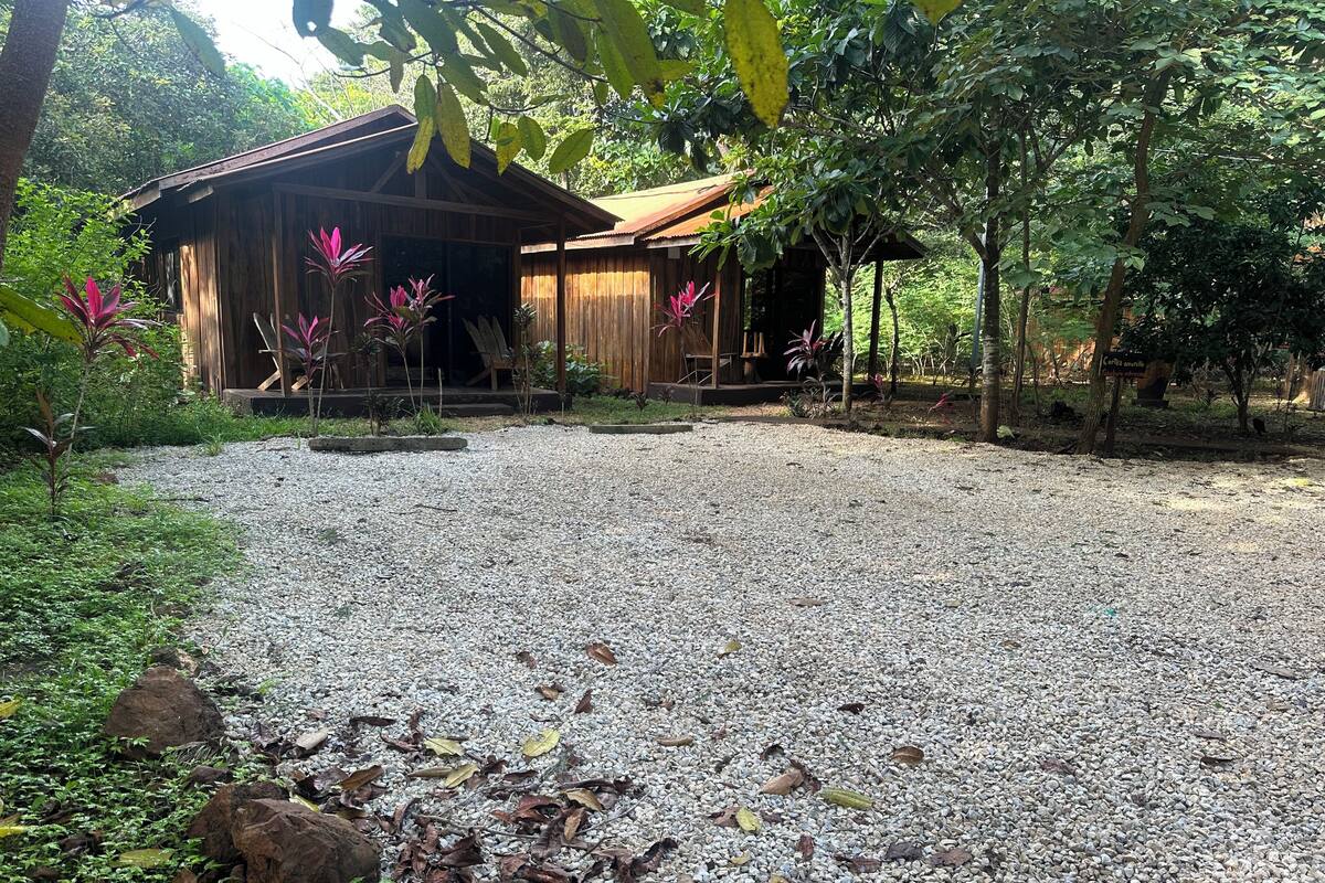 A rustic wooden building with a gravel driveway, surrounded by lush greenery and tropical plants.