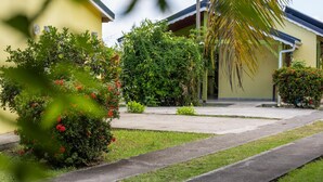 Zona residencial con un edificio amarillo, un camino de entrada pavimentado y abundante vegetación, incluyendo una palmera y arbustos florecientes.