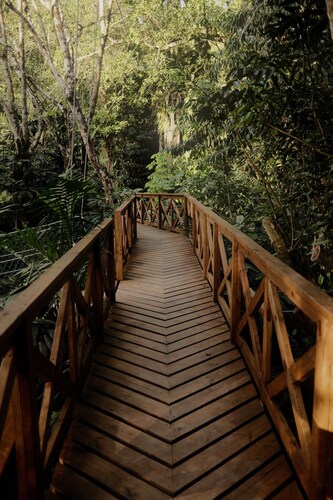 Luxury Eco Family Cabaña