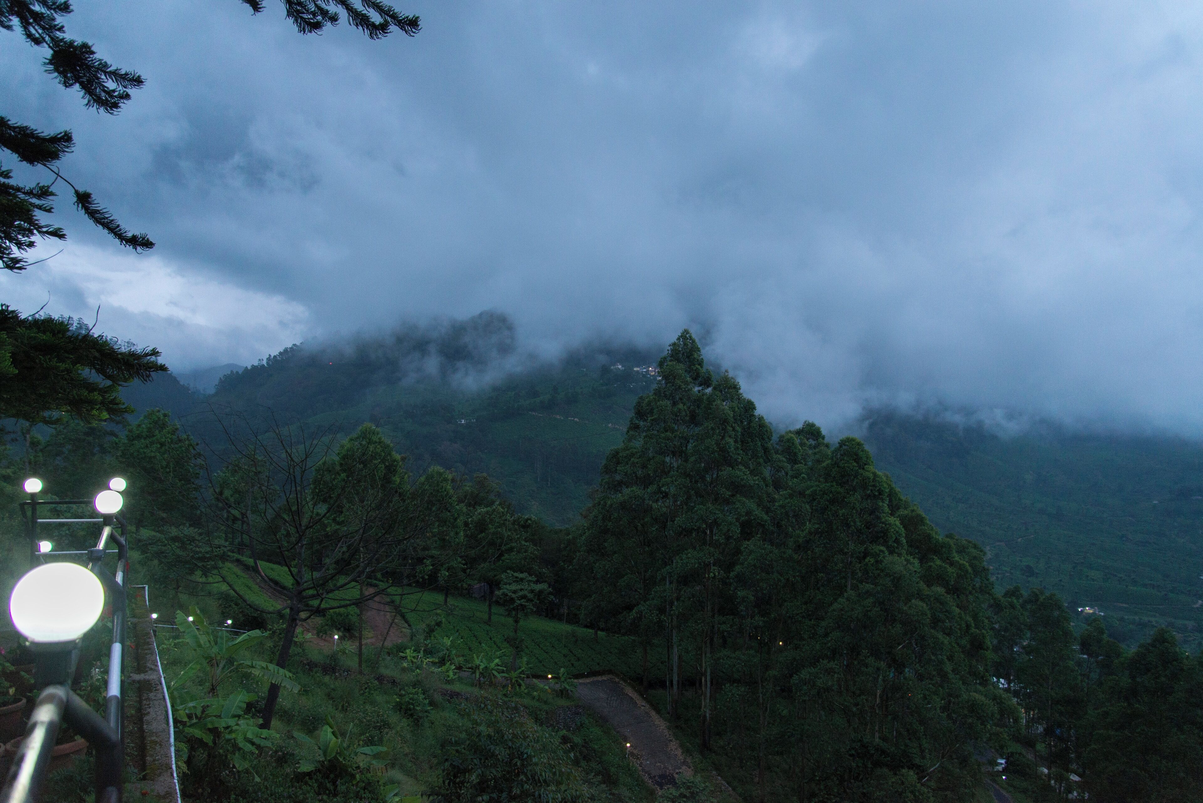 A mountainous landscape with dense greenery and a path leading through the trees.