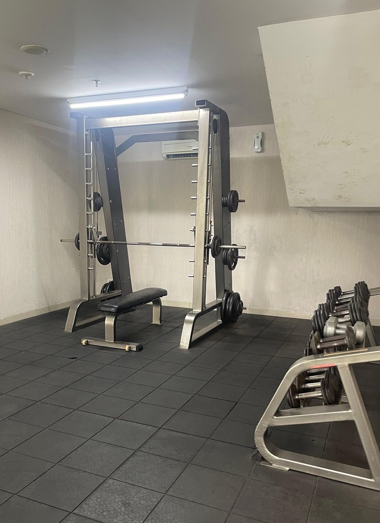 A gym with a squat rack, bench press, and dumbbells.