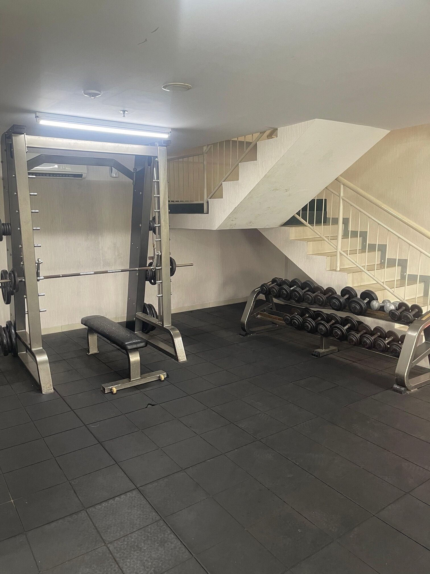 Une salle de sport équipée d’un support à squats, d’un banc et d’haltères.