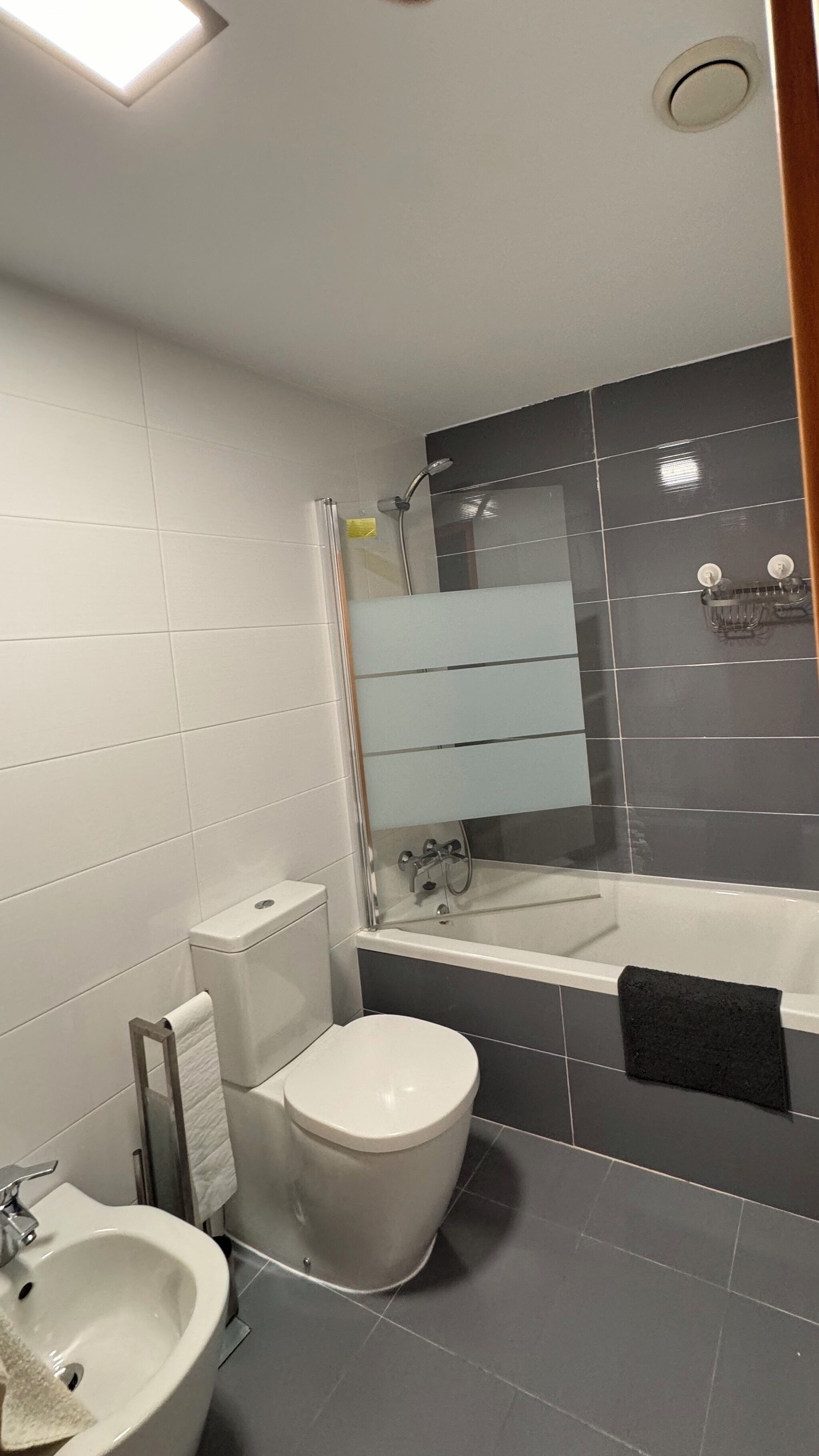 Secador de pelo y bidé