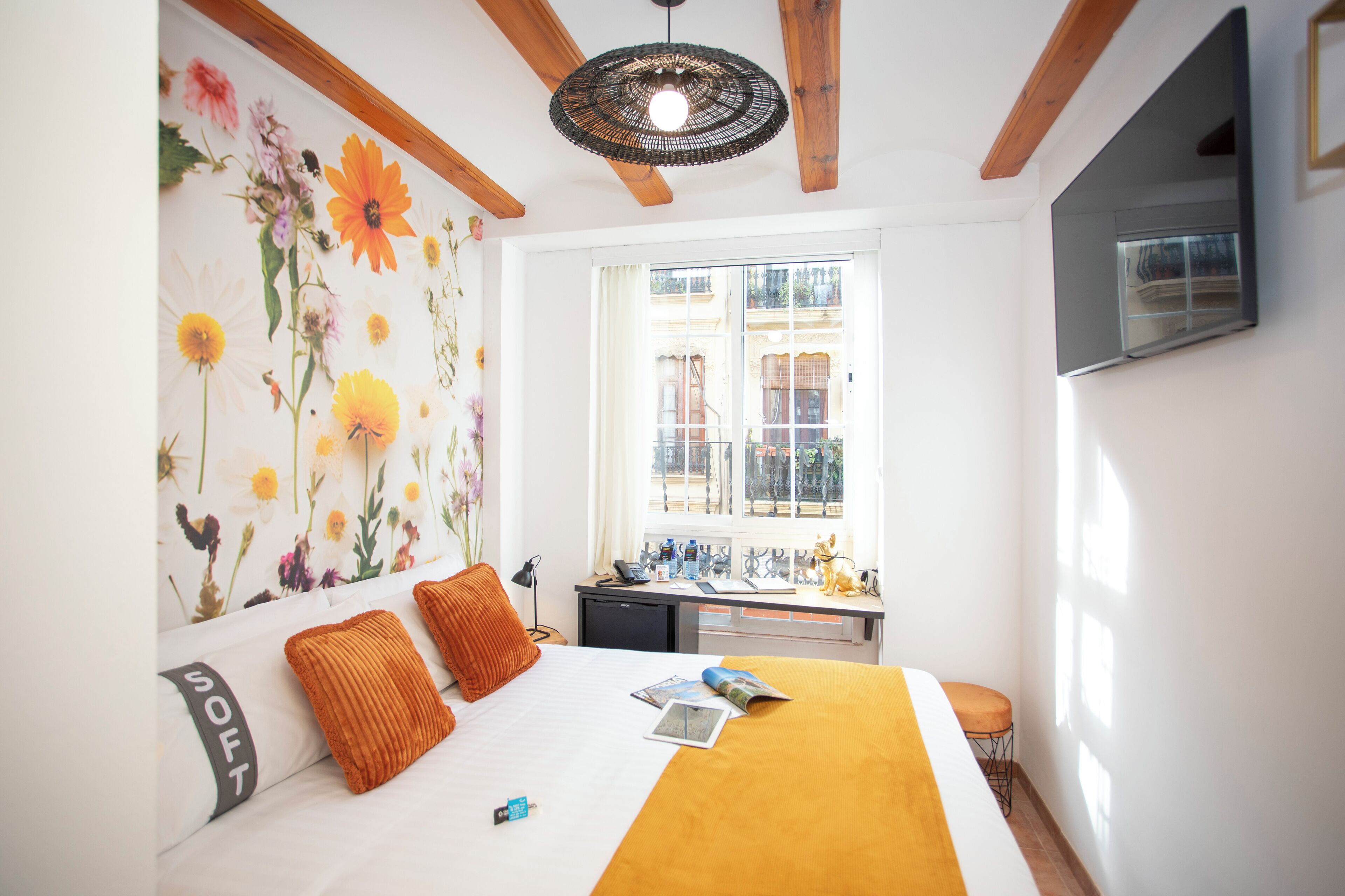 Foto - Casual Natura Valencia