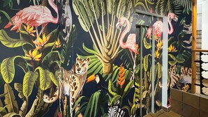 A vibrant mural with tropical wildlife and plants.