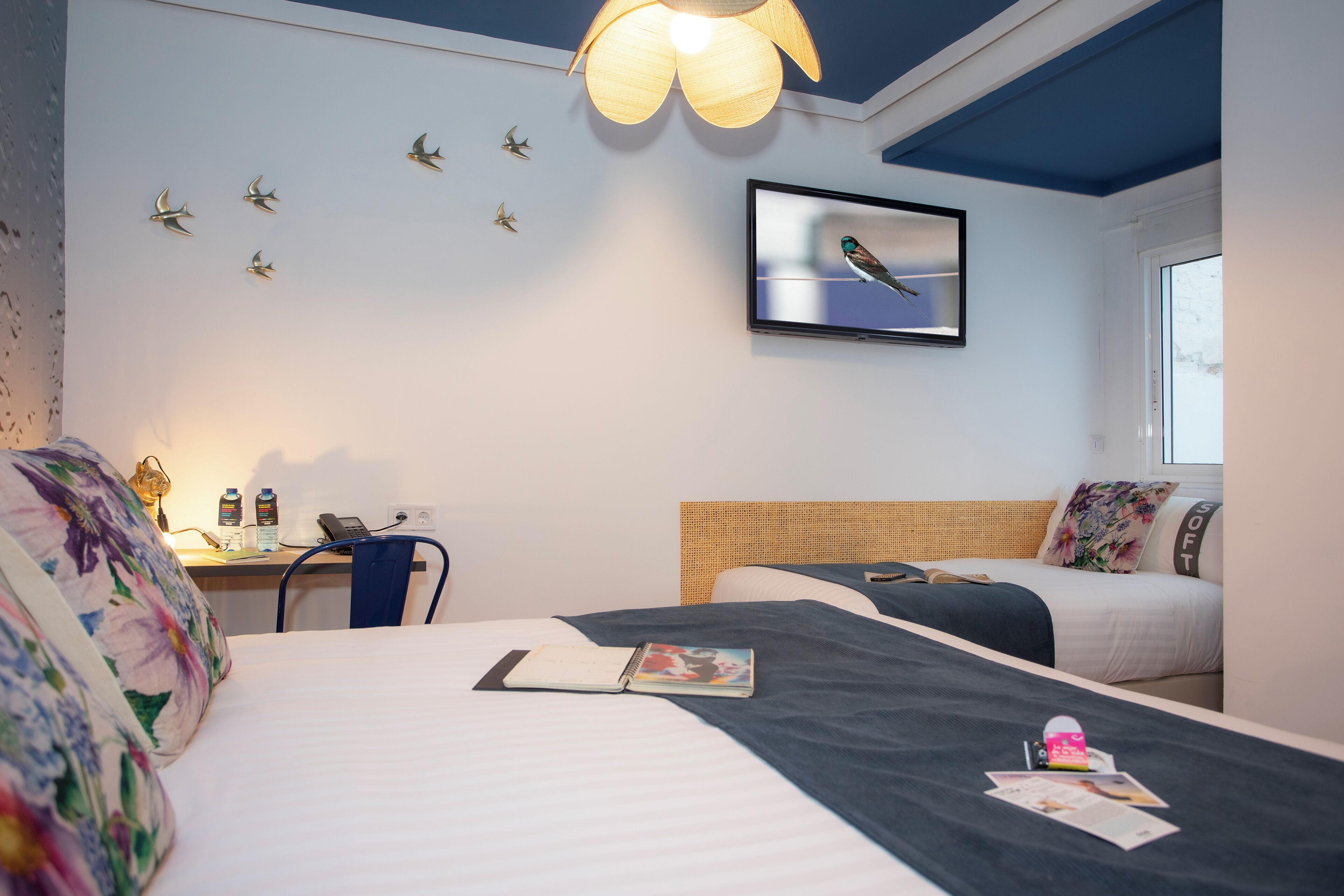 Foto - Casual Natura Valencia