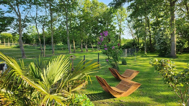 A park with a wooden bench, green grass, and trees. - Large family vacation apartment (100 m²) near SPO - dogs welcome 1000m2 garden (Poppenbüll)