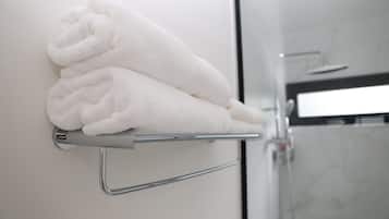 Hair dryer