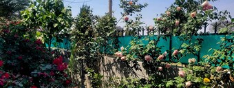 Bungalow with Swimming pool n pool table 4 BHK Villa , WiFi, Mohali Chandigarh 