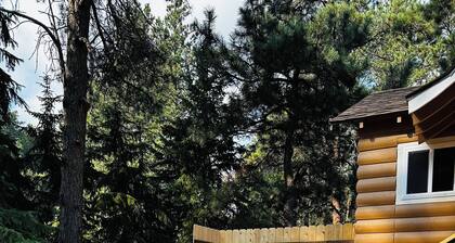 Guest House Studio Cabin w/Hot Tub and Beautiful Views.