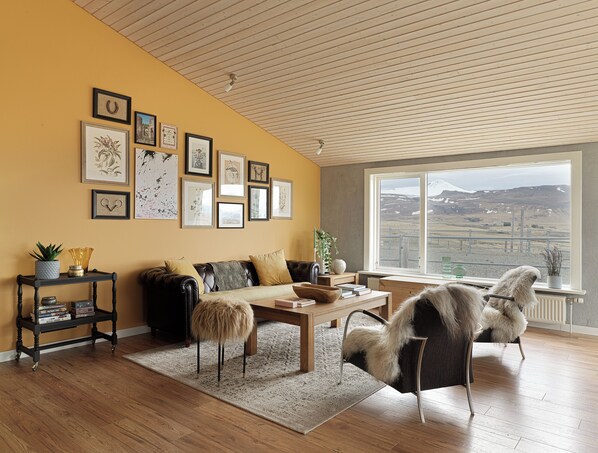 TV, books, stereo - Hrisdalur stable villa - stunning views (stykkisholmur)