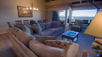TV, fireplace, books