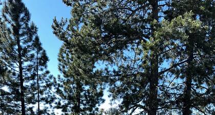 Tahoe Acres - Lakefront Home with a Hot Tub | CYH1281