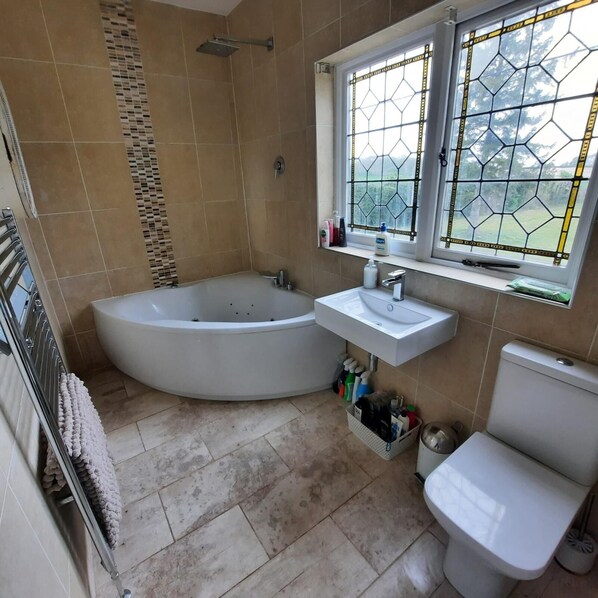 Une salle de bain avec une baignoire sur pieds, un lavabo et des toilettes.