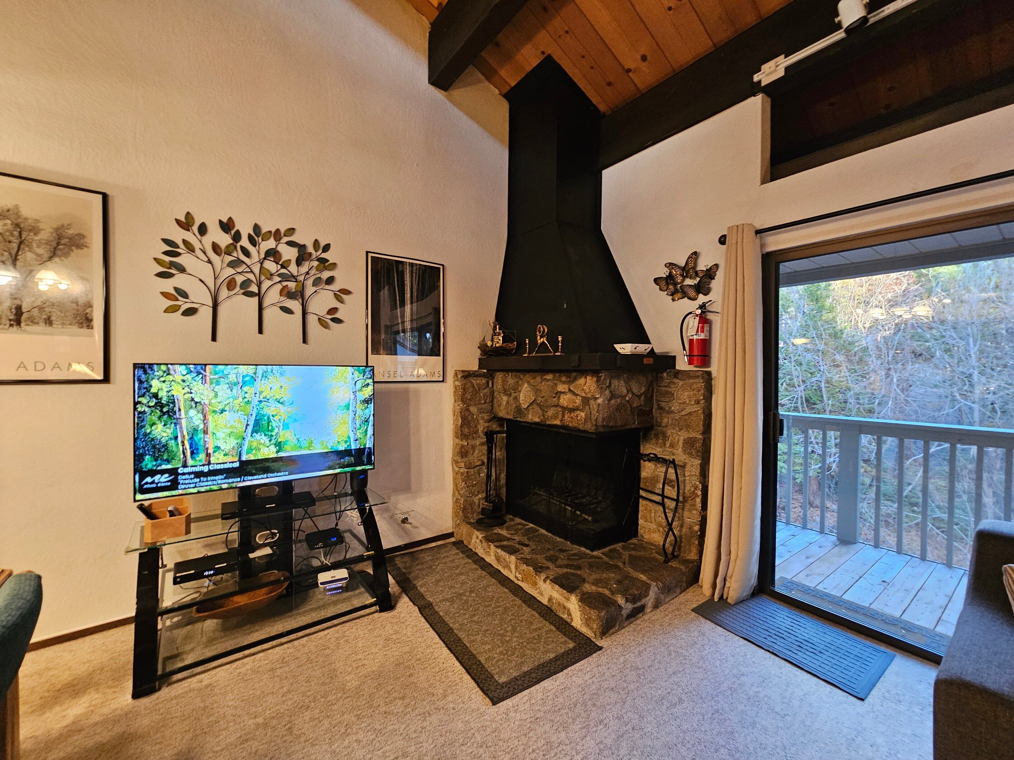 TV, fireplace