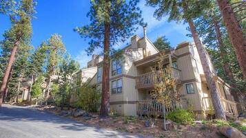 A multi-story building with a balcony on the second floor, surrounded by tall pine trees.