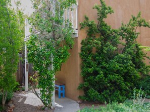 A courtyard with a blue bench, a tree, and a building with a beige wall.