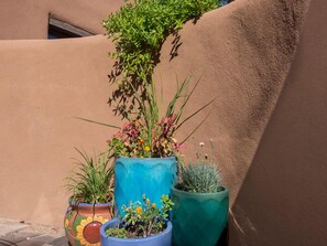A row of potted plants against a textured wall.