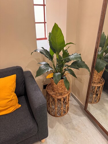 Castillo Emblematic Rooms