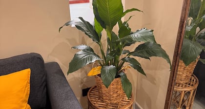 Castillo Emblematic Rooms