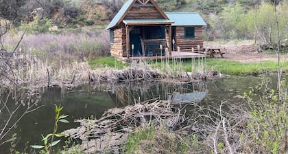 Moose Landing Cabin - Leave Lovers Retreat on River on Kebler Pass