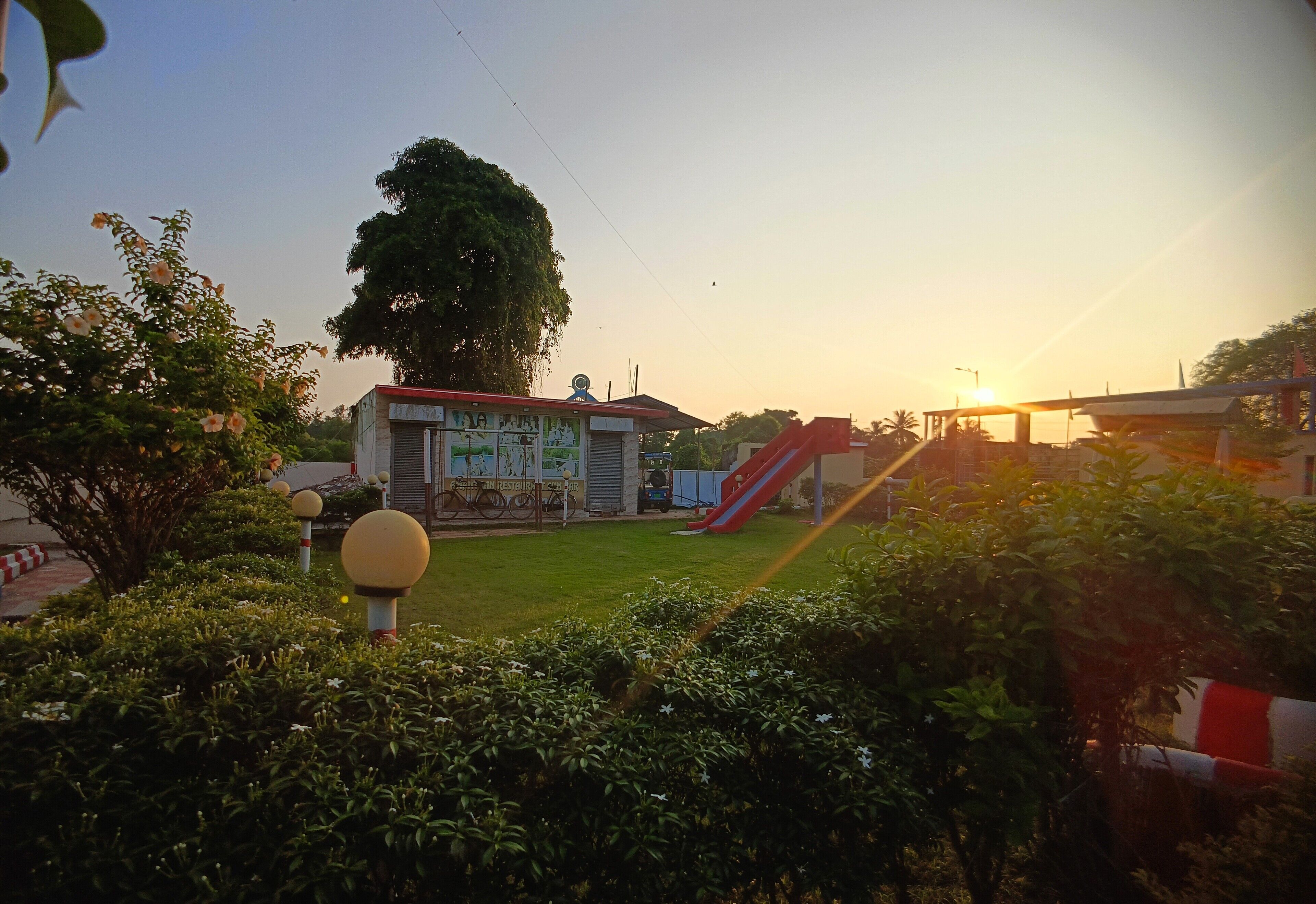 A playground with a slide and a large tree in the background.