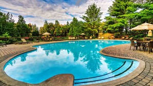 A swimming pool with a curved edge, surrounded by a brick deck, and shaded by umbrellas.