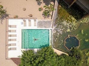 An aerial view of a swimming pool with a person in the water, surrounded by greenery and a small pond.