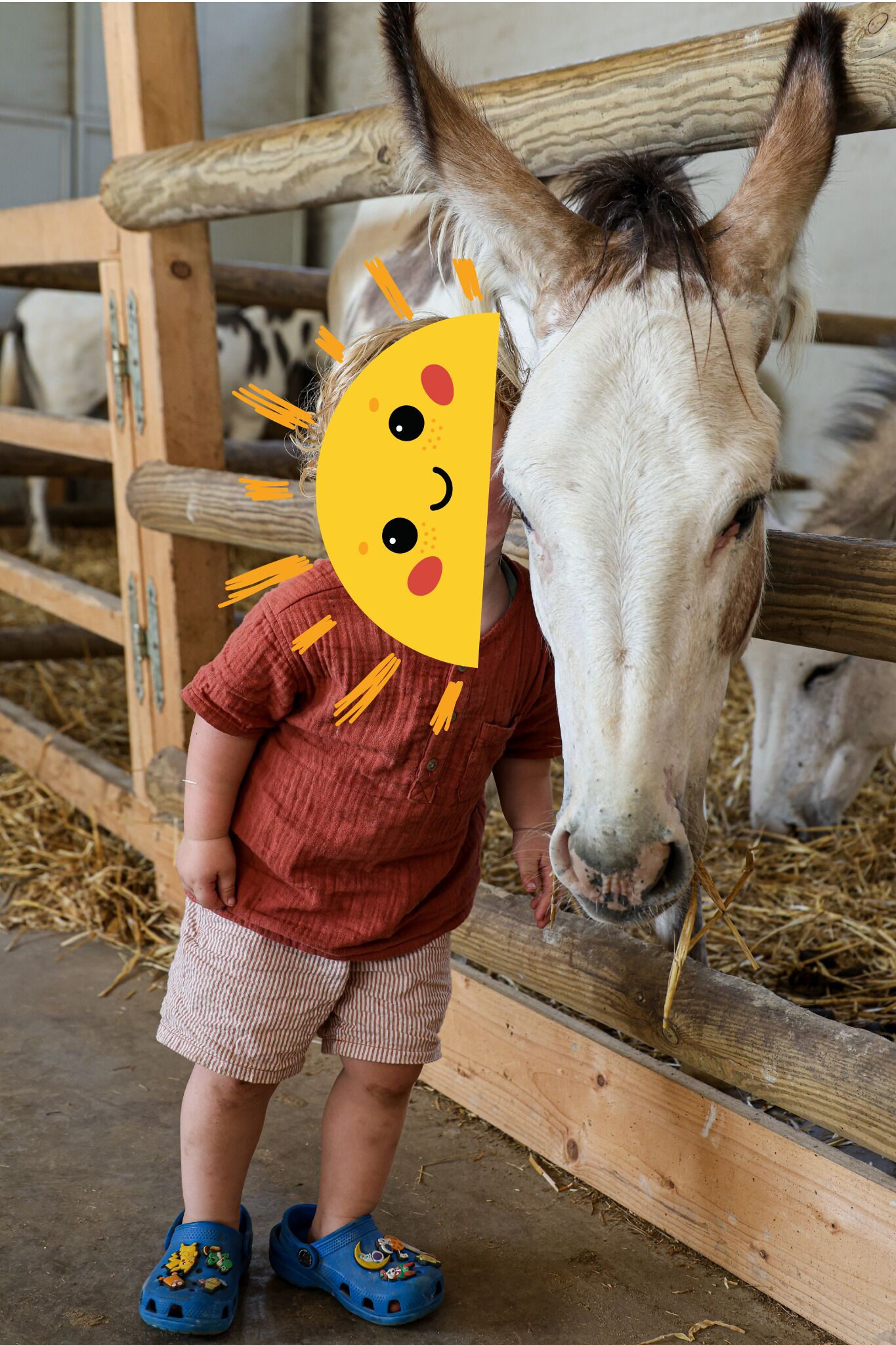 A child standing next to a horse with a wooden fence in the background.