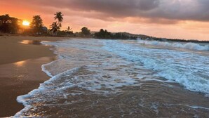 A beach with waves, palm trees, and a sunset. - #G Tropical Rainforest Retreat Ocean View w/hottub (Luquillo)