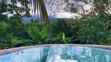 A clear view of a swimming pool surrounded by lush greenery and a mountainous landscape.