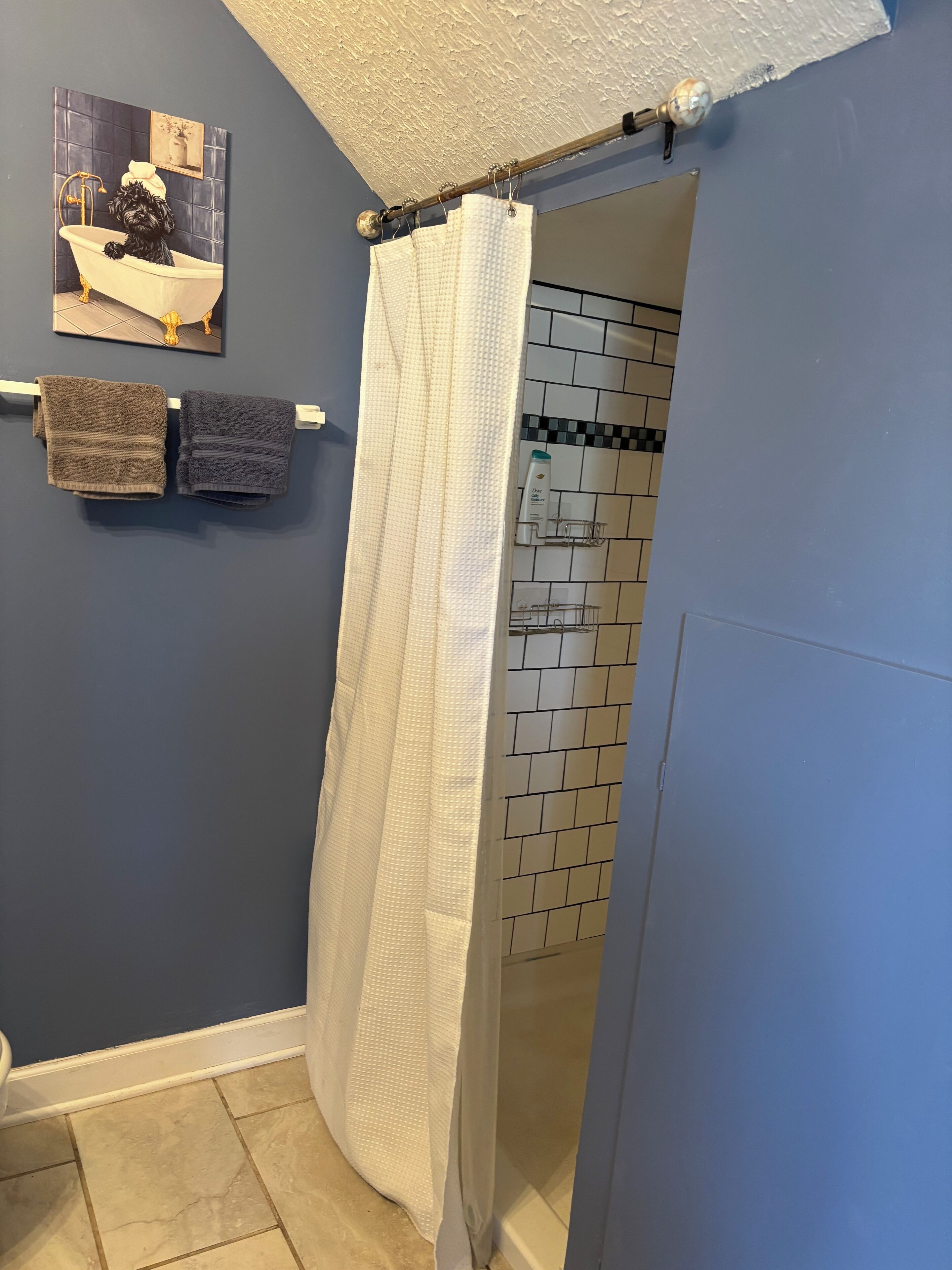 A bathroom with a shower curtain, a towel rack with towels, and a picture on the wall.