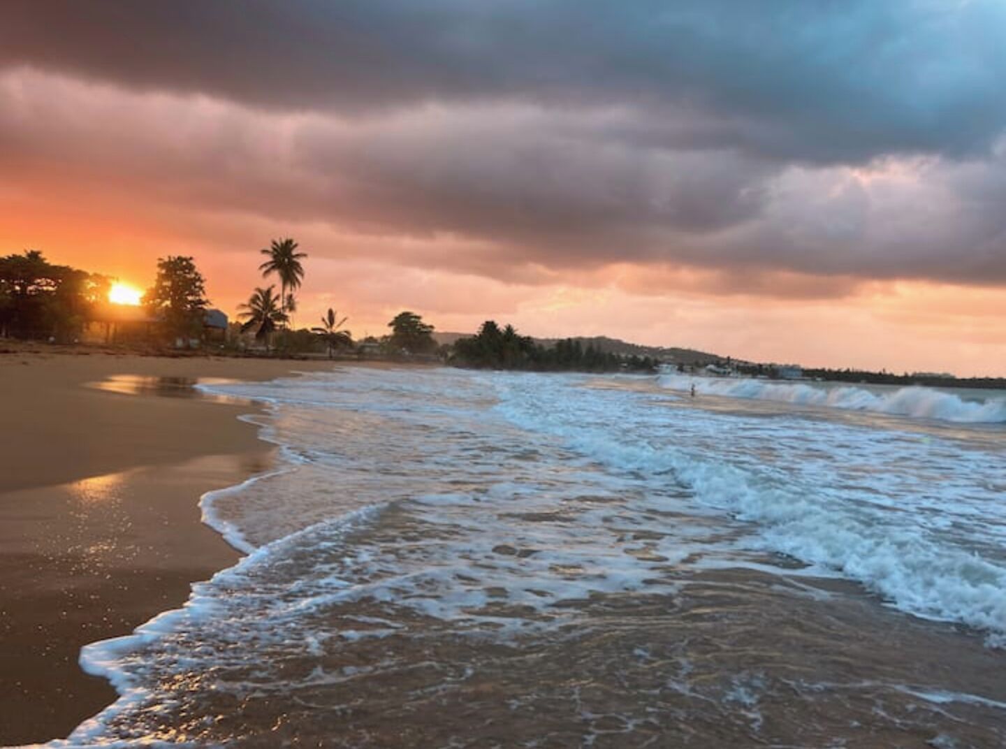 A beach with waves, palm trees, and a sunset.