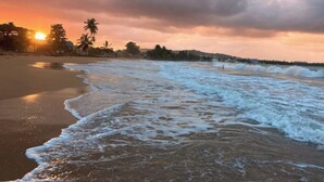 Une plage avec des vagues, des palmiers et un coucher de soleil.