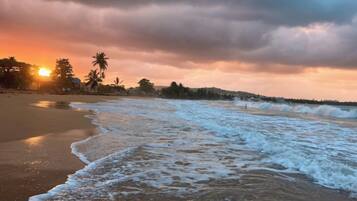 A beach with waves, palm trees, and a sunset.