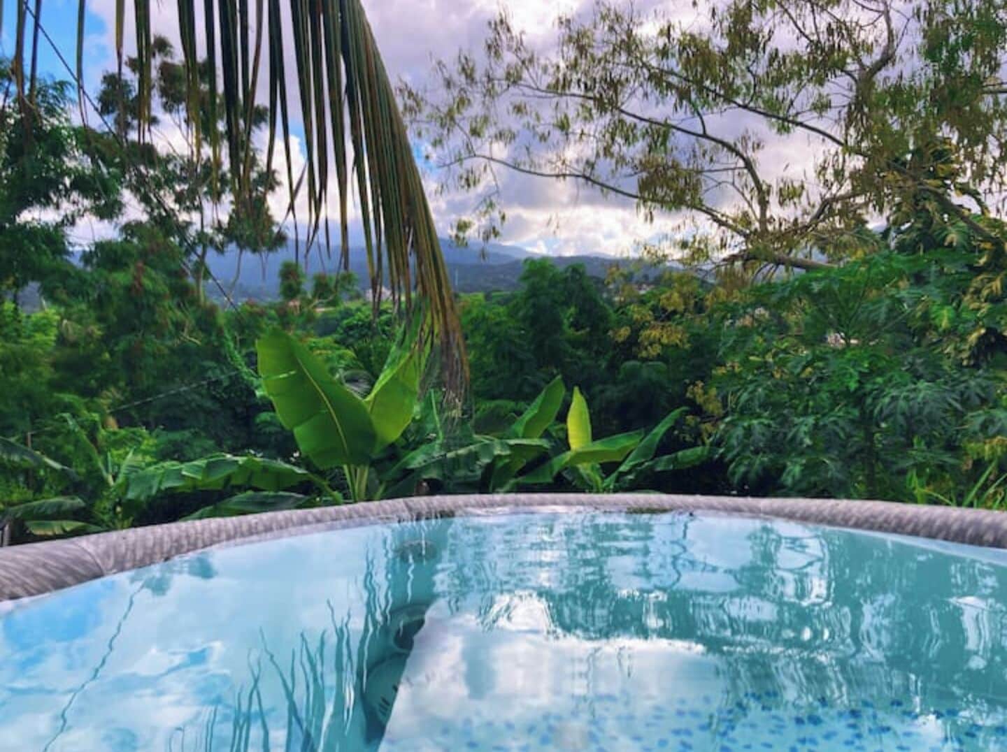 A clear view of a swimming pool surrounded by lush greenery and a mountainous landscape.