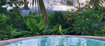 #H Rainforest Honeymoon Suite w/hottub