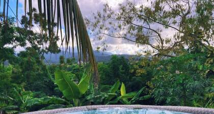 #H Rainforest Honeymoon Suite w/hottub
