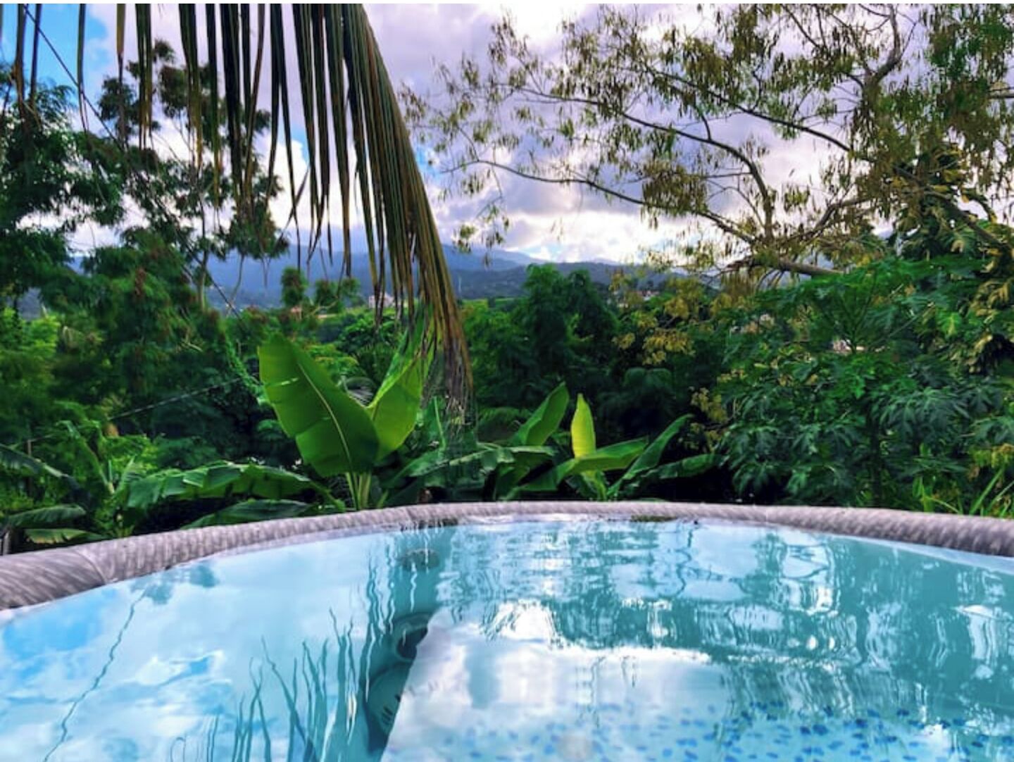 A clear blue pool surrounded by lush greenery and trees.