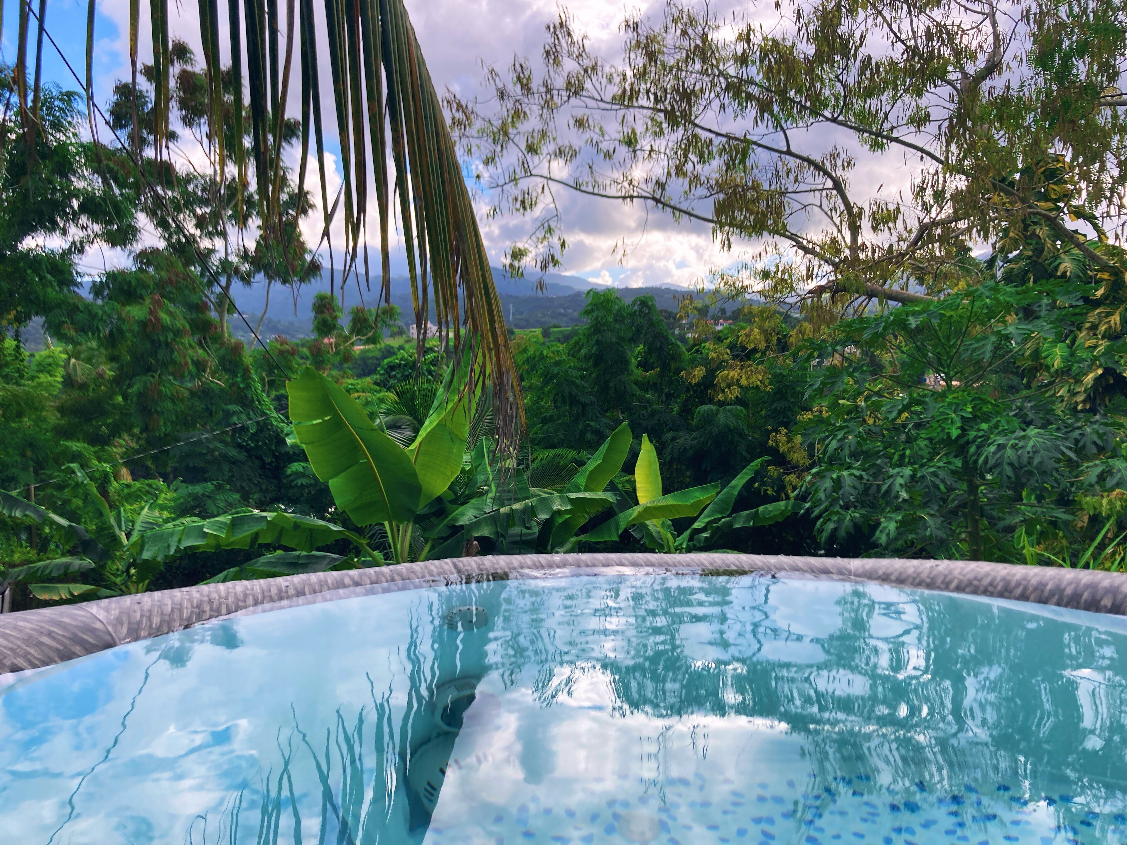 A clear view of a swimming pool surrounded by lush greenery and trees.