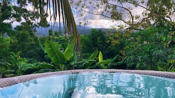 A clear view of a swimming pool surrounded by lush greenery and trees.