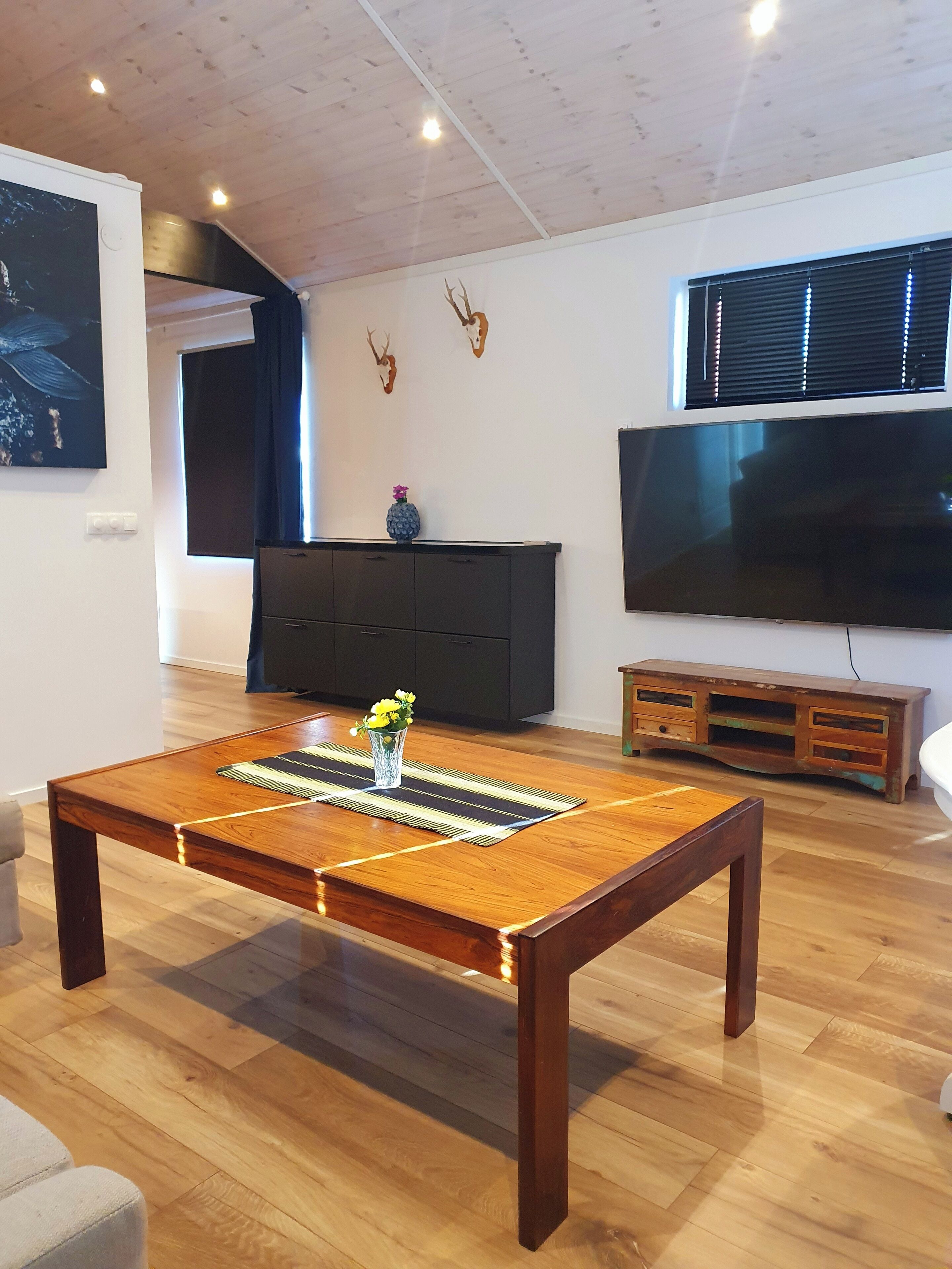 Biệt thự dành cho gia đình | Khu phòng khách | TV màn hình phẳng 32-inch có truyền hình kỹ thuật số, lò sưởi 