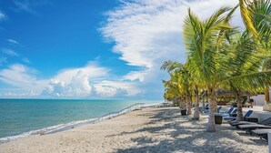 Een strand met palmbomen, ligbedden en een helder uitzicht op de oceaan.