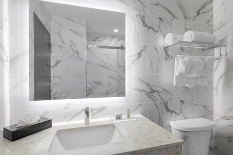 Shower, rainfall showerhead, free toiletries, hair dryer. Ramada By Wyndham Brooklyn Near Flatbush