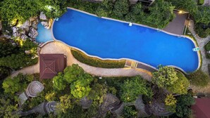 En vy från ovan av en swimmingpool omgiven av frodig grönska, med en byggnad i bakgrunden.